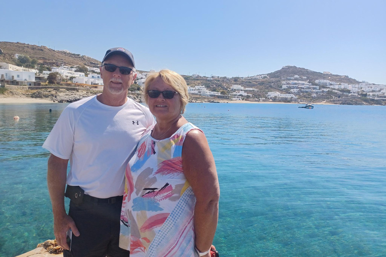 Mykonos: Farm, Ano Mera Village, and Beaches Guided Tour