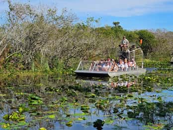 Everglades : excursion en bateau avec transport et entrée inclus