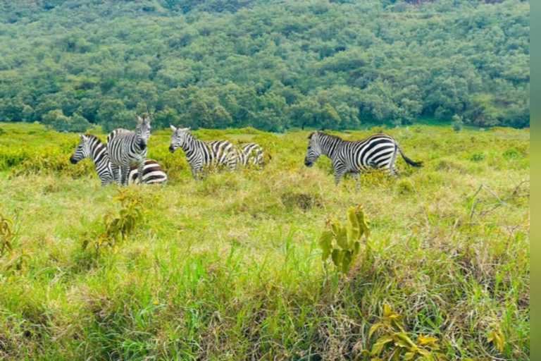 Nairobi: Lake Naivasha & Amboseli National Park 3-day safari L. Naivasha, Hell's gate & Amboseli National Park 3-day tour