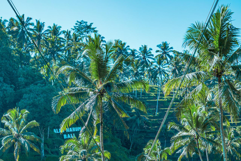 Ubud: Alas Harum Day-Pass med Swing, Sky Bike &amp; Flying FoxEntré + 1 Gunga + 1 Flying Fox/Skybike