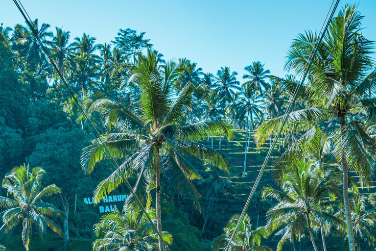 Ubud: Alas Harum Day-Pass with Swing, Sky Bike &amp; Flying FoxEntrance + 1 Swing + 1 Flying Fox/Skybike