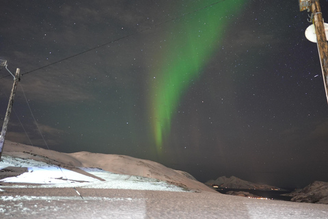 Tromsö: Northern Light guidad tur med gratis foton.