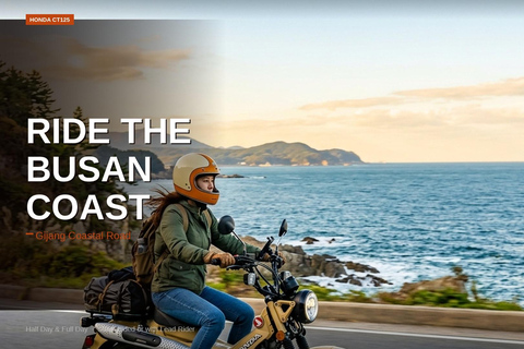 Busan: Motorbike Tour with Local Host Busan Bike Tour-Join-In Half Day with English-Speaking Host