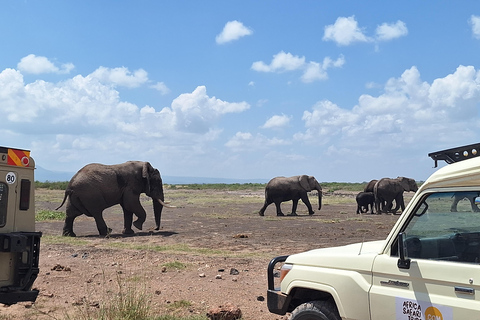 Nairobi: Amboseli National Park Tagestour mit PirschfahrtenSolo Nairobi: Amboseli National Park Tagestour