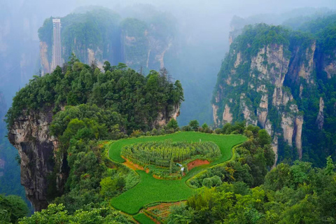 Vertical Heights: A 2-Day Private Discovery of Zhangjiajie