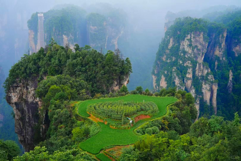 Vertical Heights: A 2-Day Private Discovery of Zhangjiajie