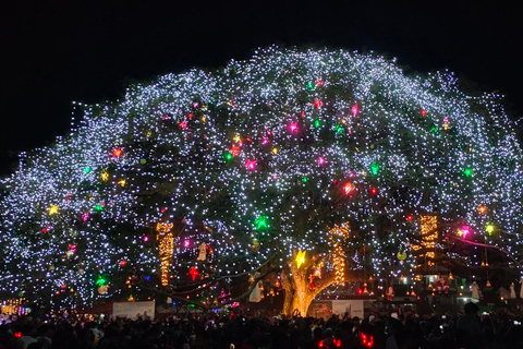 Kochi: Flea & Festive Market