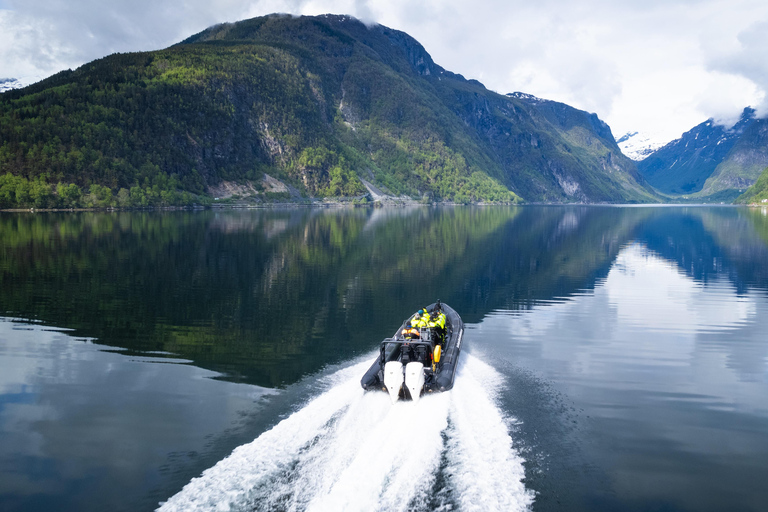 Avventura a Ulvik: Esplorare l&#039;Osafjord dell&#039;Hardangerfjord in gommoneUlvik: safari in RIB all&#039;Osafjord - un ramo dell&#039;Hardangerjord