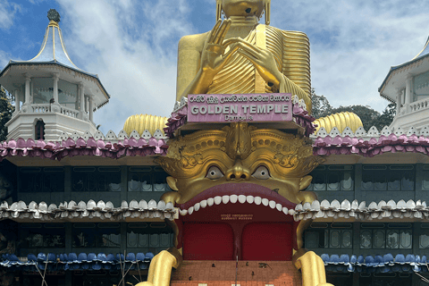 Colombo: Sigiriya & Dambulla All Inclusive Day Tour