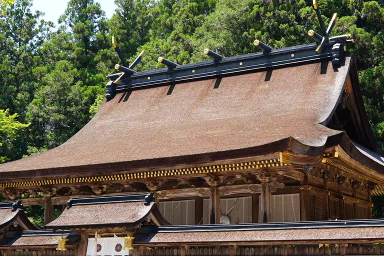 Kumano Kodo & Kumano Sanzan One-Day Tour from Osaka