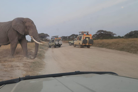 5 Days Kenya Private Safari |Masai Mara, L Nakueu & Naivasha