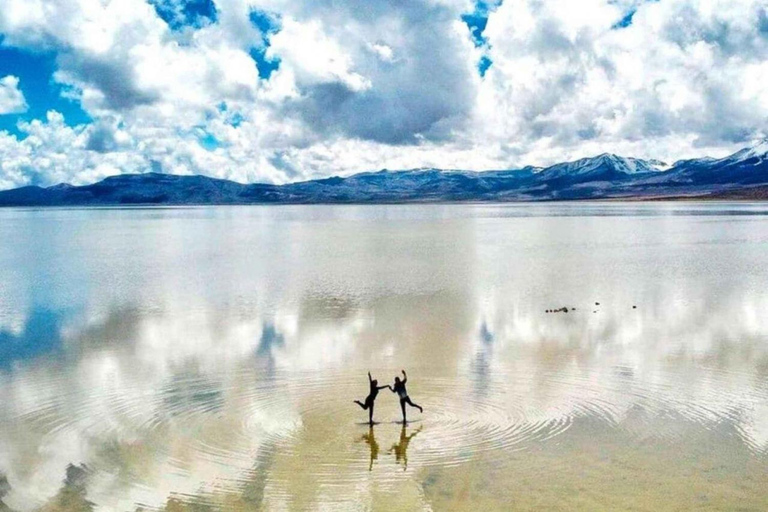 Excursión Laguna de Salinas y Reserva Nacional 8 horas