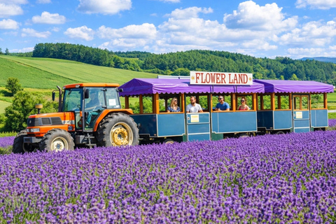 Summer Hokkaido: Furano lavender, Blue Pond,Shikisai-no-Oka 7:50 am meet at Odori Park subway station exit 31