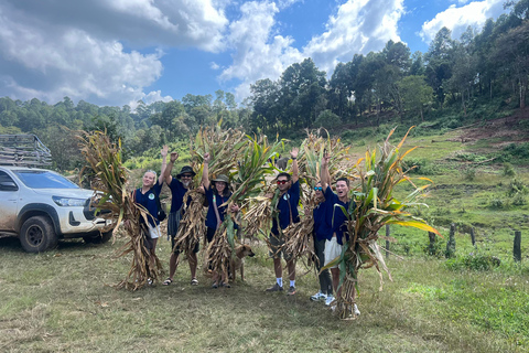 Chiang Mai : Ethical Elephant Sanctuary and ATV Adventure 2 Hour ATV & Sanctuary Visit With Lunch and Transfer