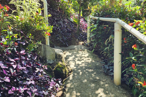 Roseau: Titou Gorge, Hot Spring, Falls & Champagne Reef Tour