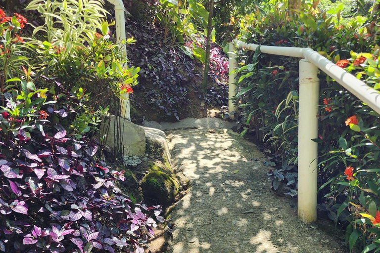 Roseau: Titou Gorge, Hot Spring, Falls & Champagne Reef Tour