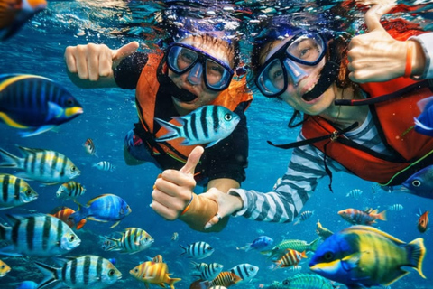 From Lombok: Gili Nanggu, Sudak, & Kedis Island Hopping Tour