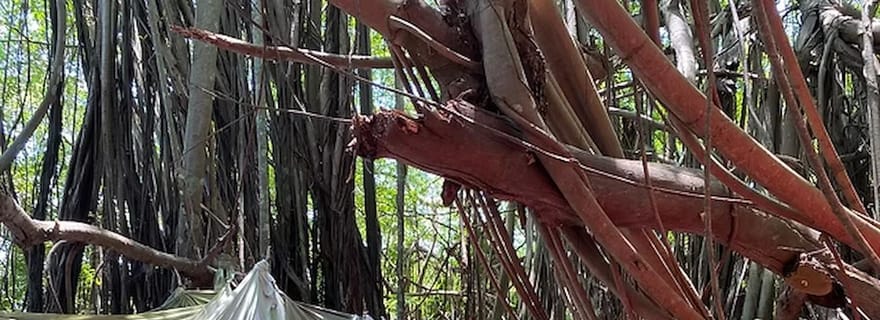 Nosy Be : visite citadine culturelle des principales attractions