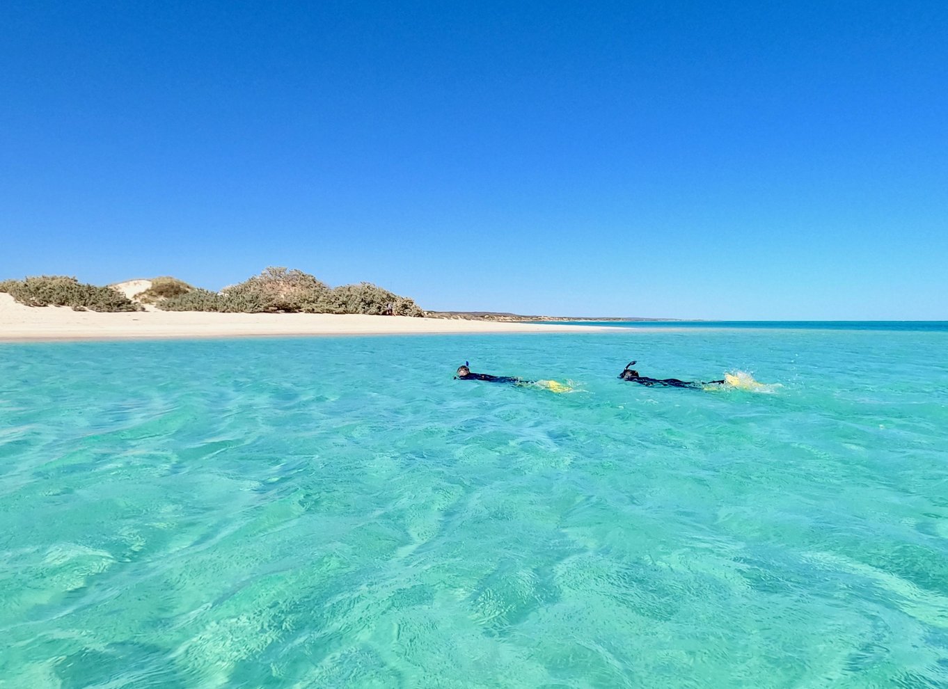 Exmouth: Guidet snorkeleventyr på Ningaloo Reef