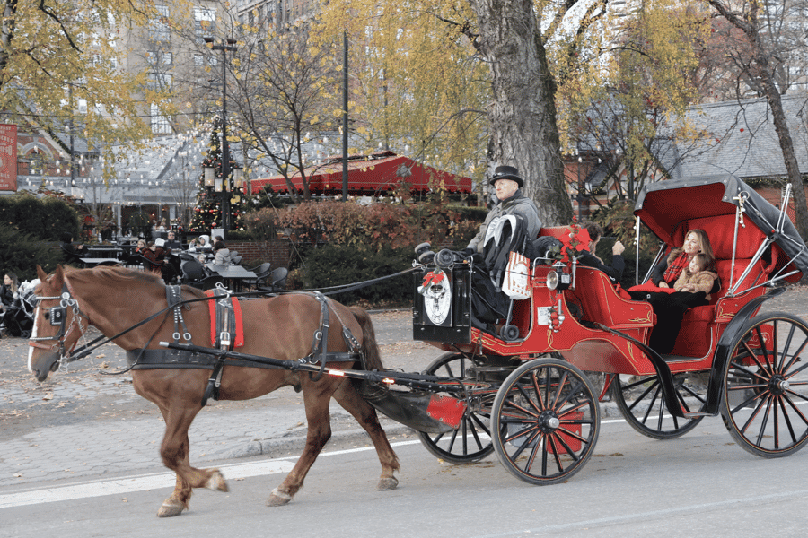 New York City: Central Park Pferdekutsche 55-min Fahrt. Foto: GetYourGuide New York City: Central Park Pferdekutsche 55-min Fahrt. Foto: GetYourGuide