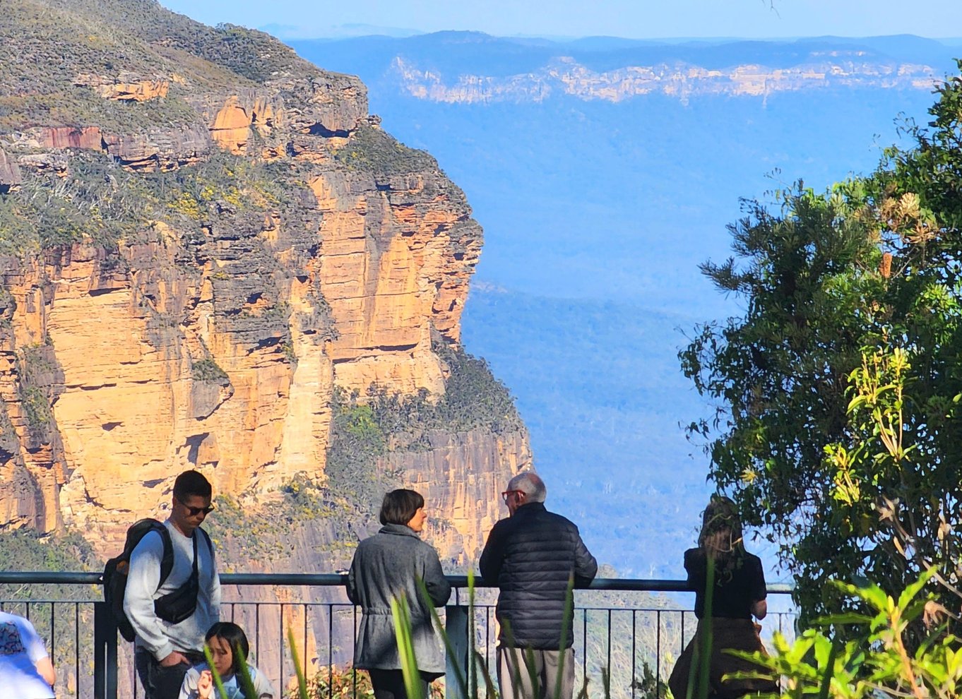Fra Sydney: Blue Mountains-tur med vandfaldsvandring og frokost