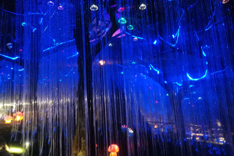 Li River, Reed Flute Cave,Xianggong Hill&Light Show Day Tour