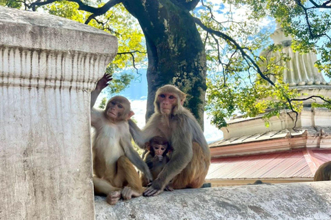 Kathmandu: 9-Day Nepal Golden Route Tour with Guide