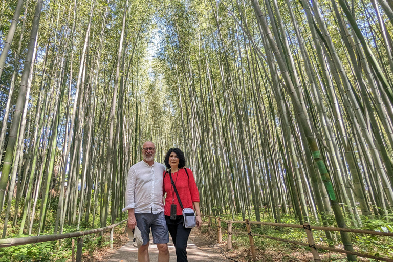 Full-Day Kyoto Walking Tour: Most Iconic Landmarks & Monkeys Shared Tour with English/German Speaking Guide