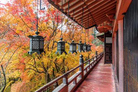 Osaka: Nara, Akame 48 Waterfalls & Tanzan Shrine Tour Shared Tour, Meet at Tsurutontan Soemoncho