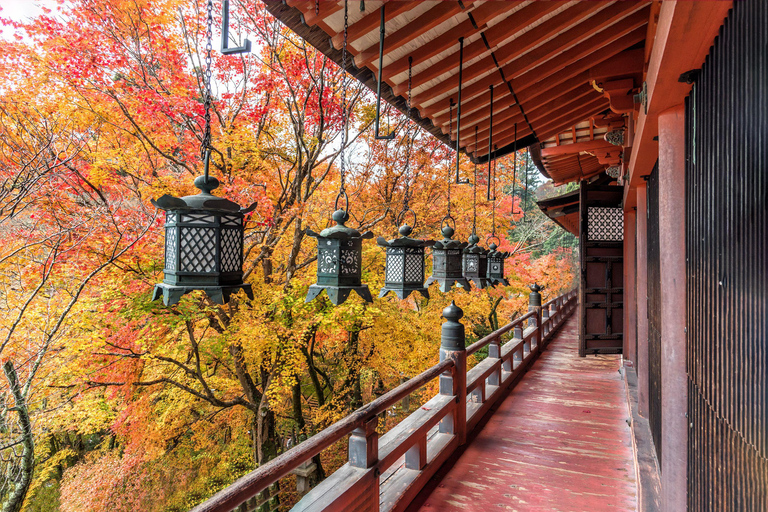 Osaka: Nara, Akame 48 Waterfalls & Tanzan Shrine Tour Shared Tour, Meet at Tsurutontan Soemoncho