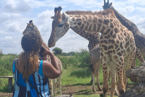 Mombasa: City Tour and Nguuni Nature Sanctuary Day Trip