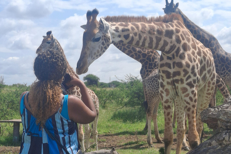 Mombasa: City Tour and Nguuni Nature Sanctuary Day Trip