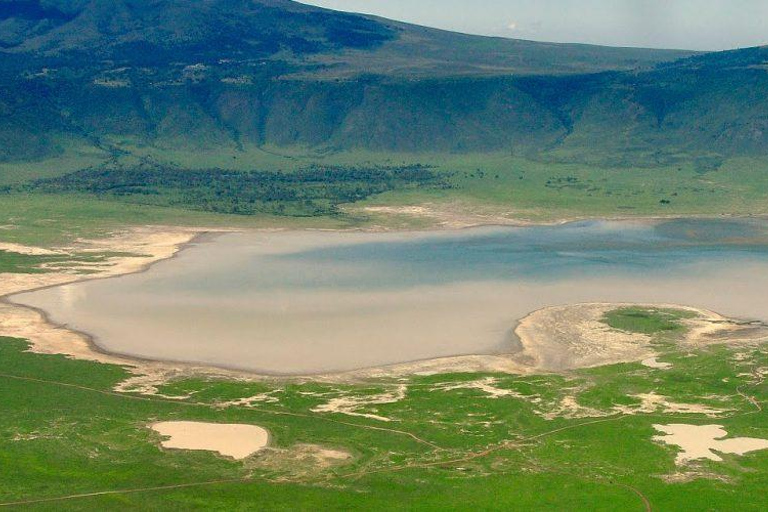 Tanzania: 7-dniowe safari Wielkiej Piątki z zakwaterowaniemNajlepsze safari