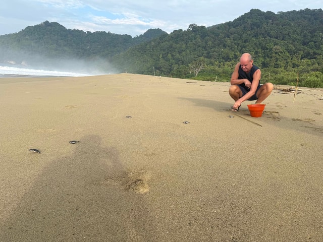 Sukamade: Turtle Expedition & MeruBetiri Jungle Adventure