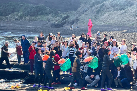 Desde Jeju: excursión a sitios de la UNESCO