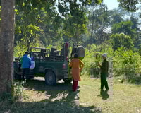 Chitwan National Park Full Day Private Jeep Safari da Madi - Housity
