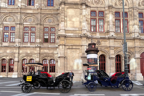 Vienna: Royal E-Carriage Sightseeing Tour incl. Prosecco60 min. Private Royal E-Carriage Tour with drinks