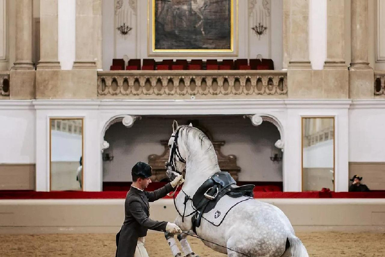 From Bratislava: Vienna Private City Tour & Schönbrunn