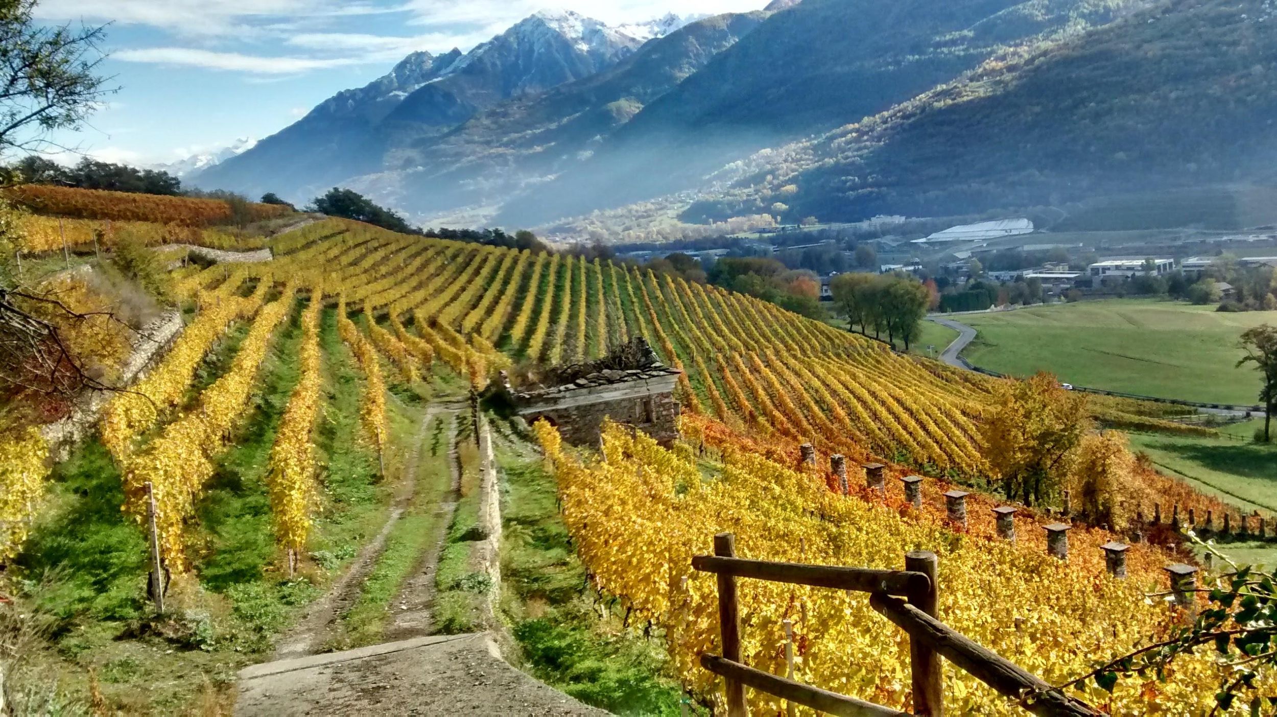 Aostatal: Besuch und Weinverkostung im Weingut Grosjean