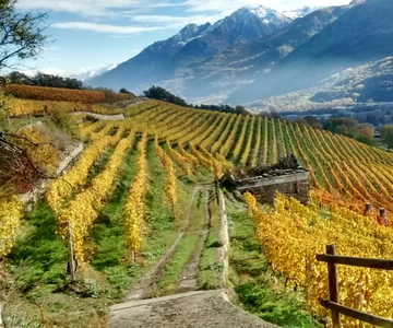 Aosta Valley: Visit and wine tasting at Grosjean winery