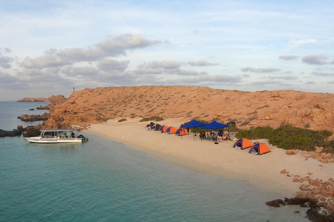 Passeios de mergulho com snorkel nas ilhas DaymaniyatExcursões de mergulho com snorkel para as ilhas Daymaniyat