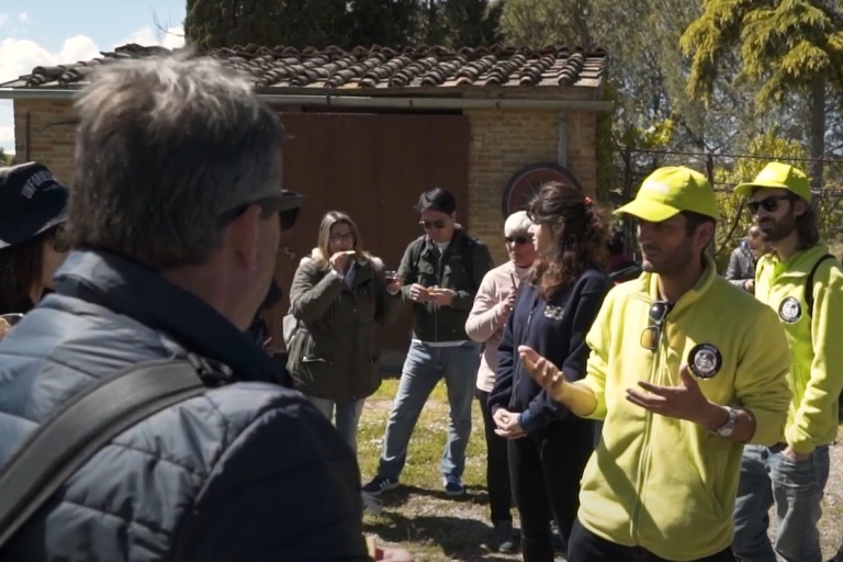 Pienza & Montepulciano: Ganztägige WeintourTour auf Englisch