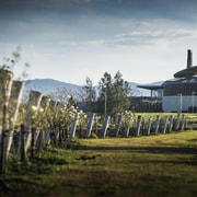 The Hunter Tasting - Wine Tasting Hunter Valley