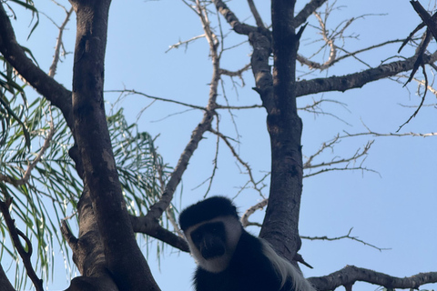 Addis Abeba: 12-tägige Tour durch das Omo-Tal und den Großen Afrikanischen Grabenbruch