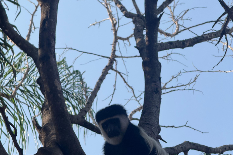 Addis Abeba: 12-tägige Tour durch das Omo-Tal und den Großen Afrikanischen Grabenbruch