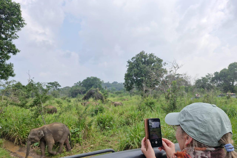 Colombo: Private 4-Day Tour to Sigiriya, Nuwara Eliya, Yala Includes private transport, standard hotels, food, guide