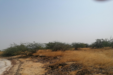 Saloum Delta: 3 days of adventure in the middle of nature, camping on a desert island Saloum Delta: Camping and Adventure