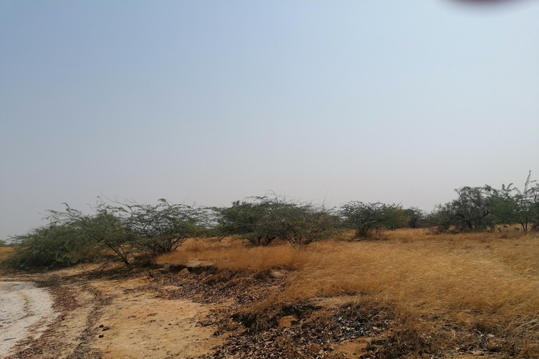 Saloum Delta: 3 days of adventure in the middle of nature, camping on a desert island Saloum Delta: Camping and Adventure