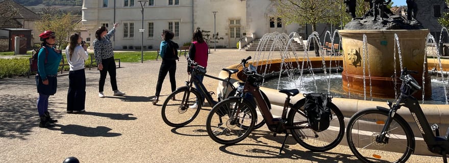 Dijon/Beaune : Visite d'une jounée en Bourgogne avec Ebike, dégustations et déjeuner