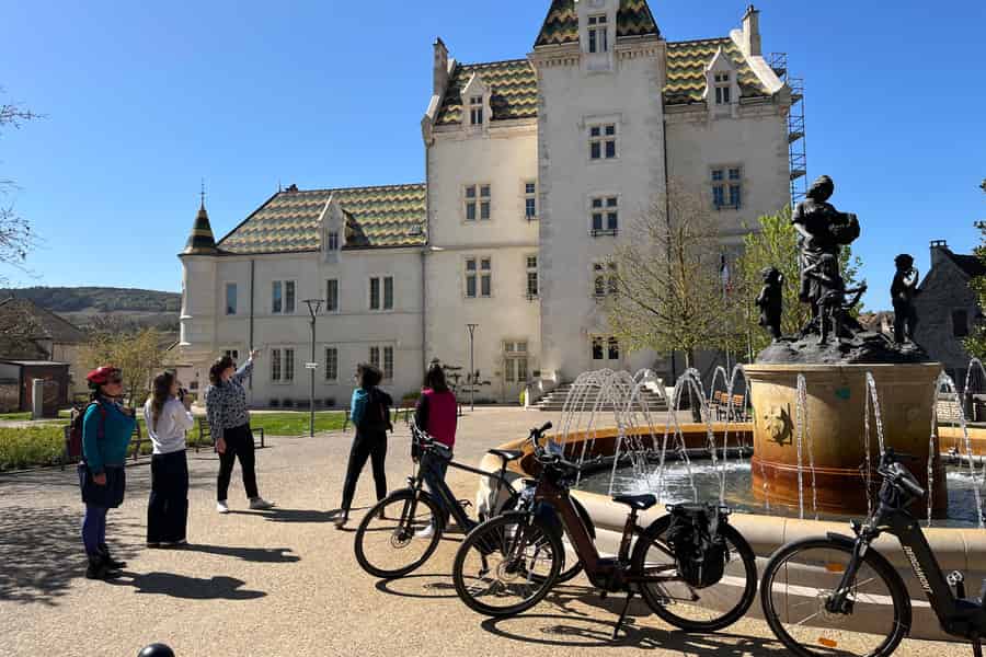 Dagvullende Ebike Bourgogne tour, proeverijen & lunch